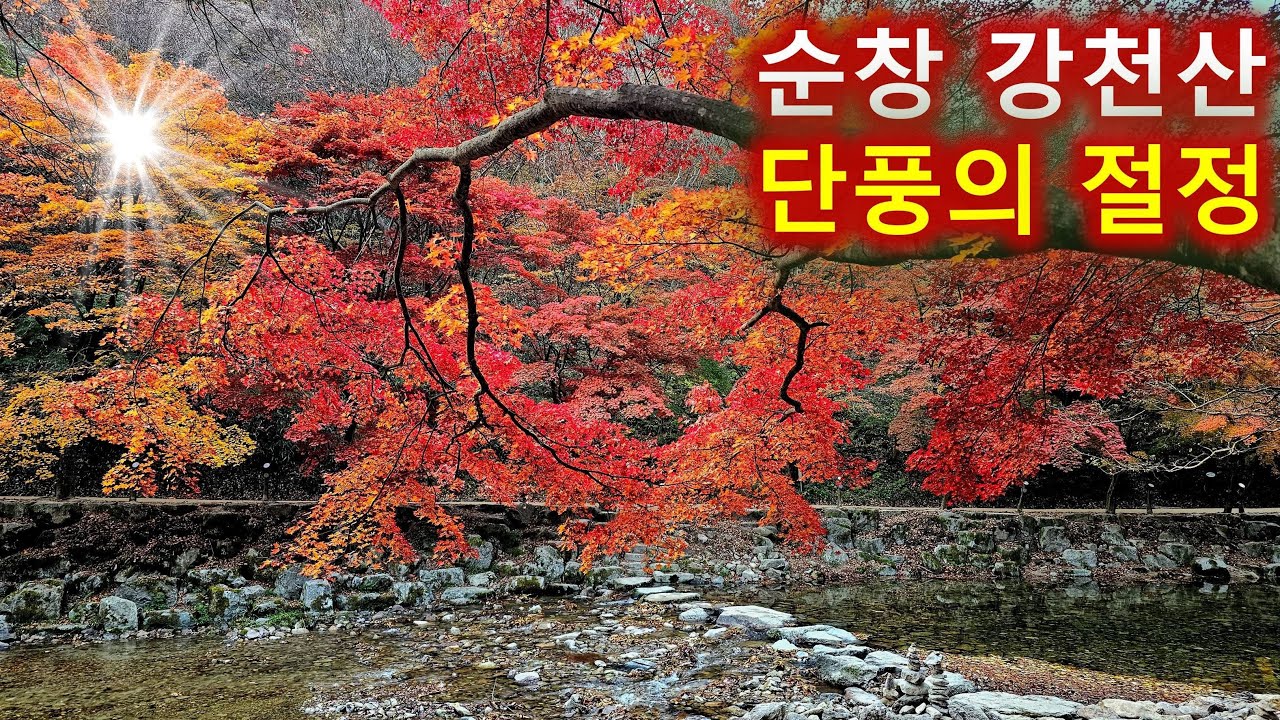 올해 가장 예쁜 순창 강천산 단풍산행/병풍폭포와 용머리폭포, 구장군폭포/100대명산/가을등산/11월산행/현수교가 기가막혀