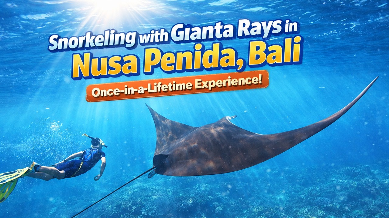Snorkeling with Giant Manta Rays in Nusa Penida, Bali 🌊🛥️ | Once-in-a-Lifetime Experience!
