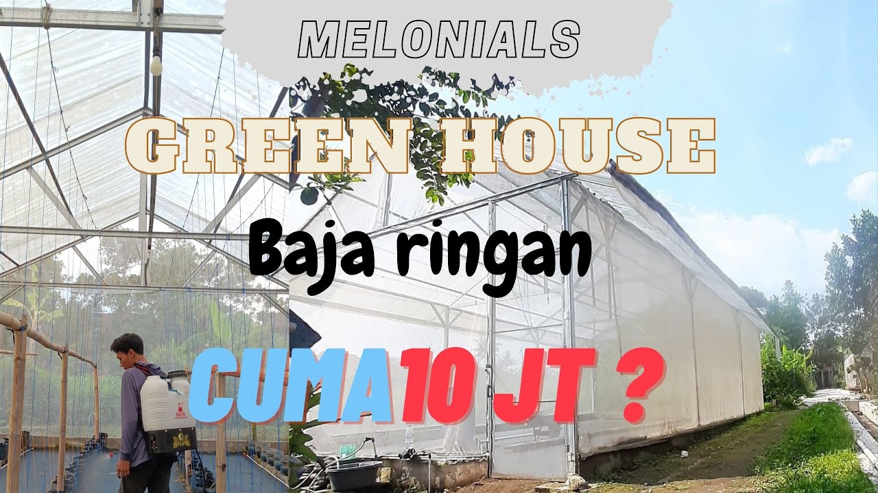 GREENHOUSE BAJA RINGAN