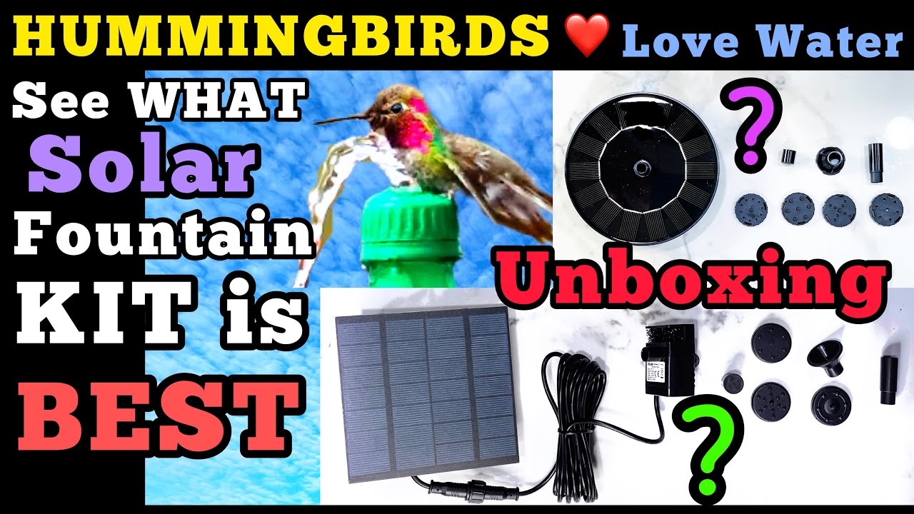 SEE BEST Types of Solar Fountain Kits, How to Make Endless Water Bird Bath for Hummingbirds EASY DIY