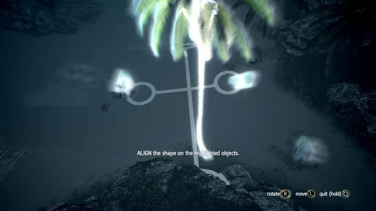 Assassin creed black flag