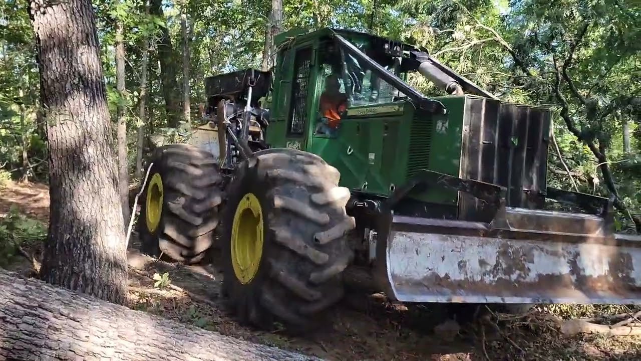 Bunching White Oak logs