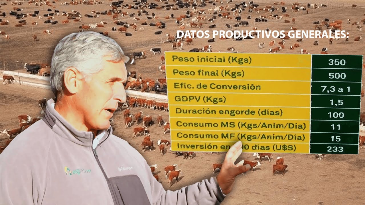 MANEJO NUTRICIONAL GANADO DE FEEDLOT  | Ing. Agr. Francisco Gonzalez
