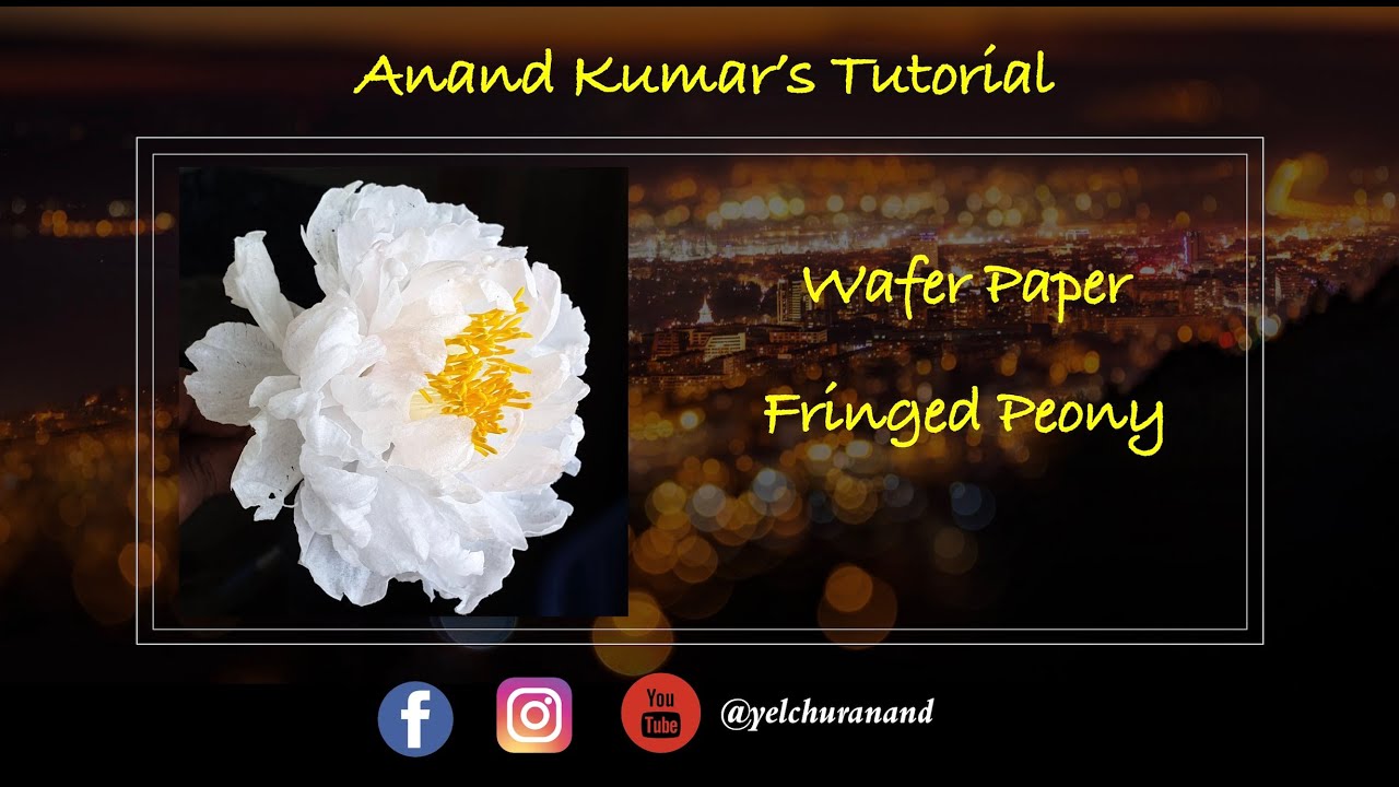Wafer Paper Fringed Peony by Anand Kumar