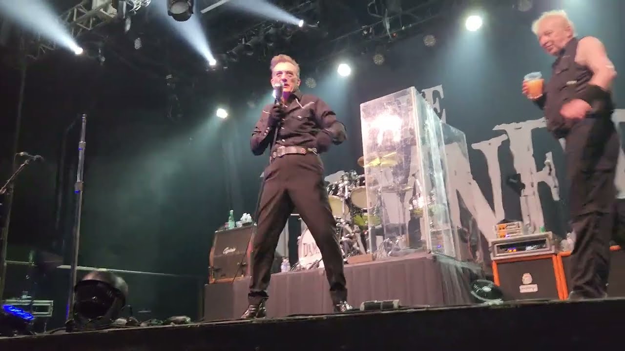 The Damned 