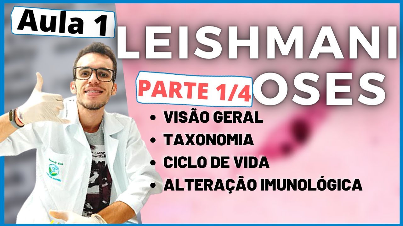 LEISHMANIOSE HUMANA Características Gerais  Vídeo Aula Ensino Superior Aula 1/4| Luix Nascimento #6