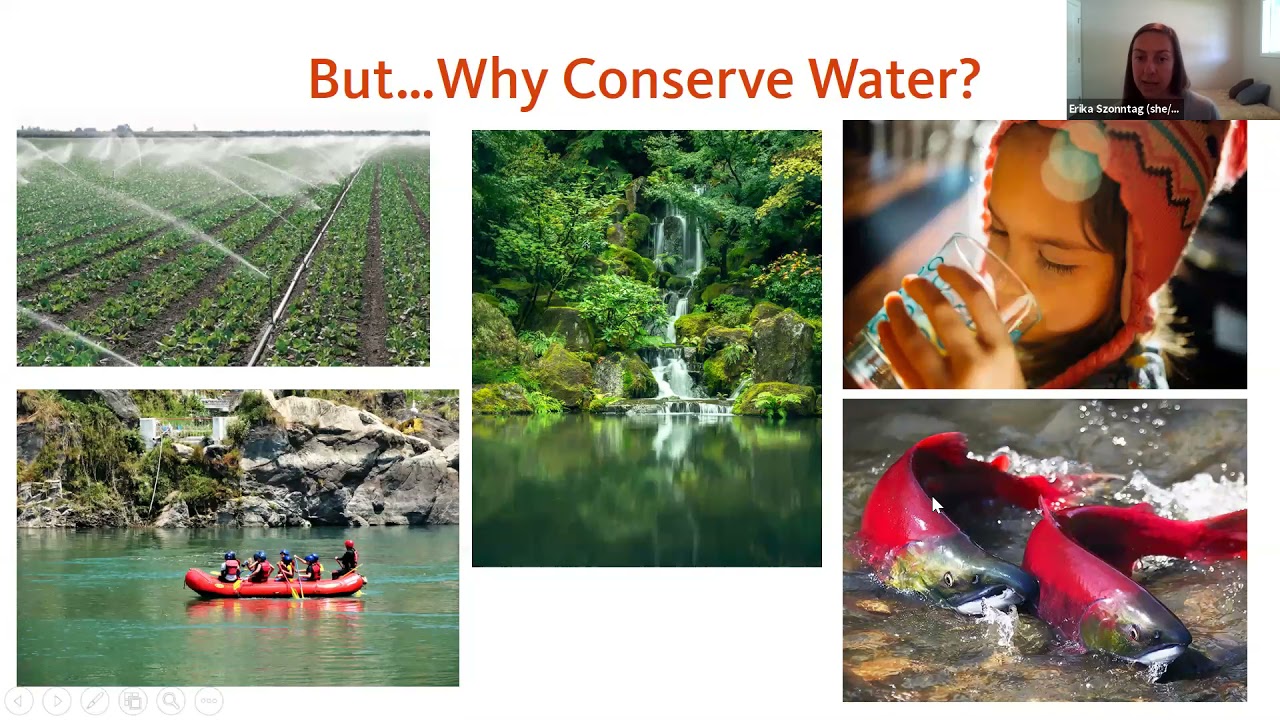 Water wise Gardening with Erika Szonntag