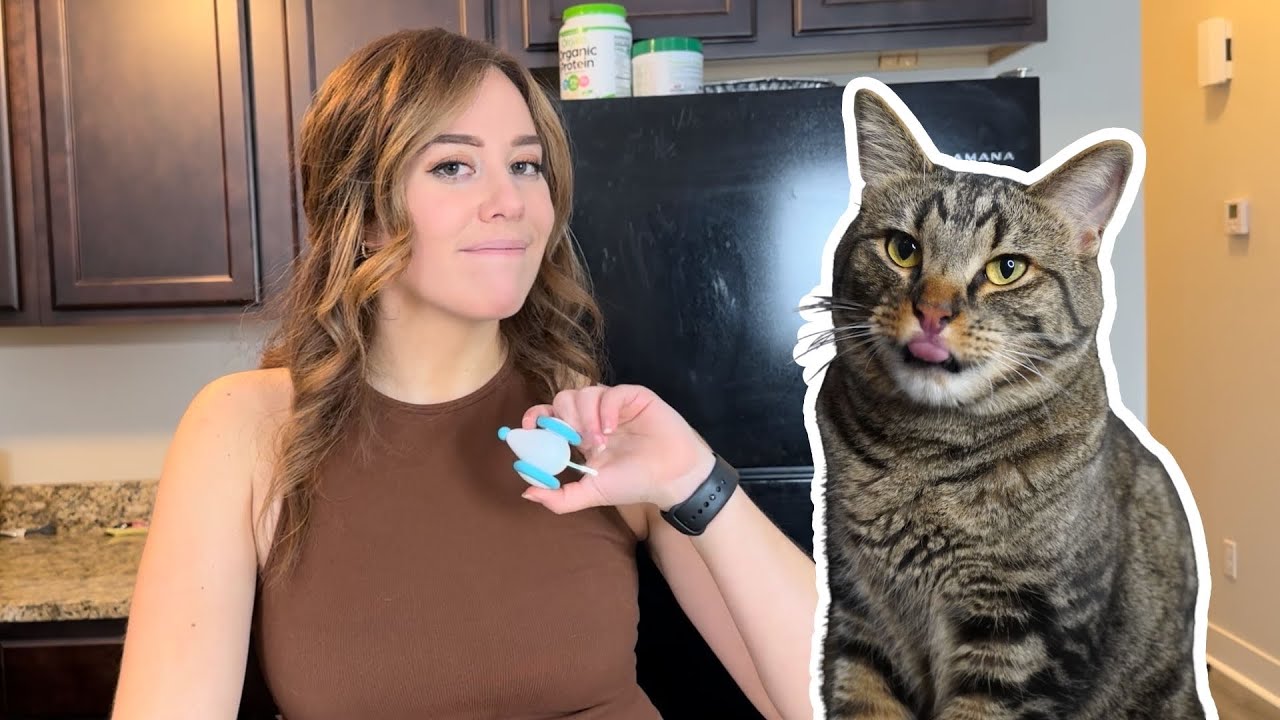 Chip Tried The Amazon 5-Star Mouse (SO YOU DONT HAVE TO!) | Petlibro Mouse Product Review