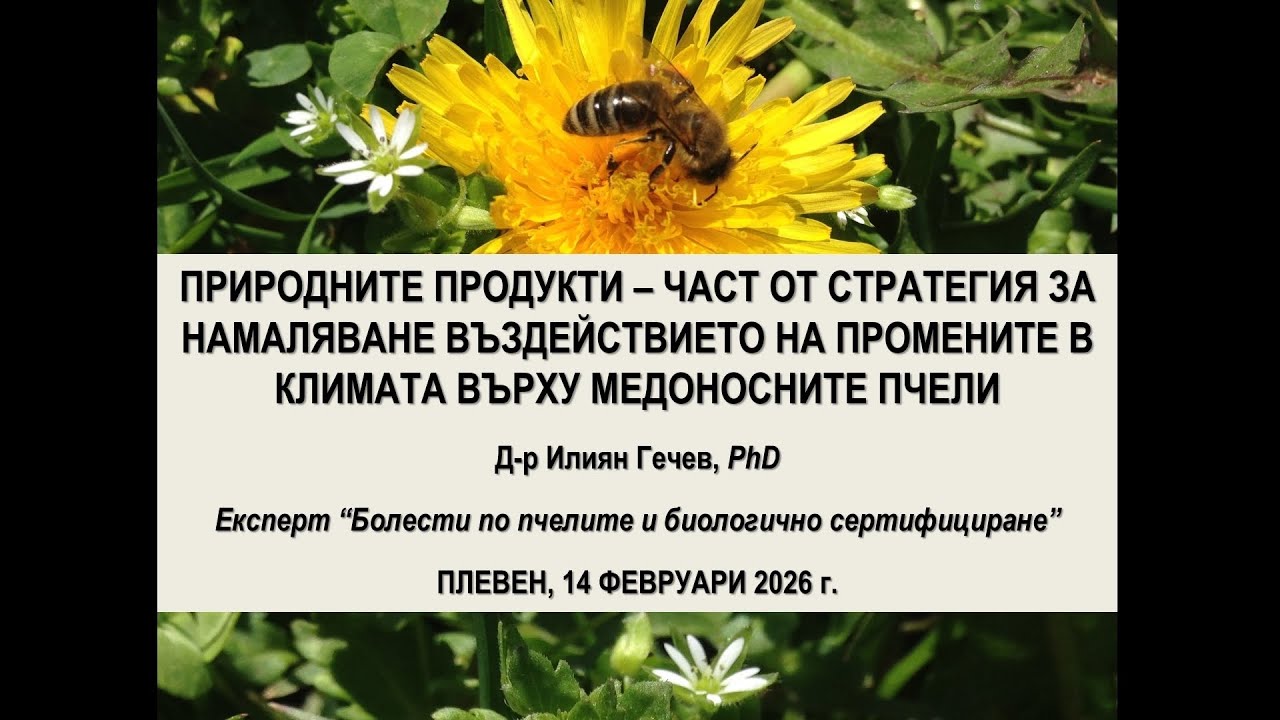 НАМАЛЯВАНЕ ВЪЗДЕЙСТВИЕТО HA ПРОМЕНИТЕ B КЛИМАТА ВЪРХУ МЕДОНОСНИТЕ ПЧЕЛИ  Д-p Илиян Гечев