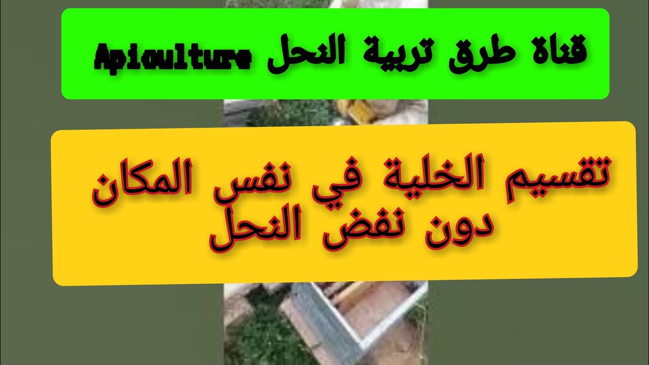 تقسيم ناجح، طريقة التقسيم في نفس المكان دون نفض الإطارات و دون ترحيل القسمة.الجزء 01