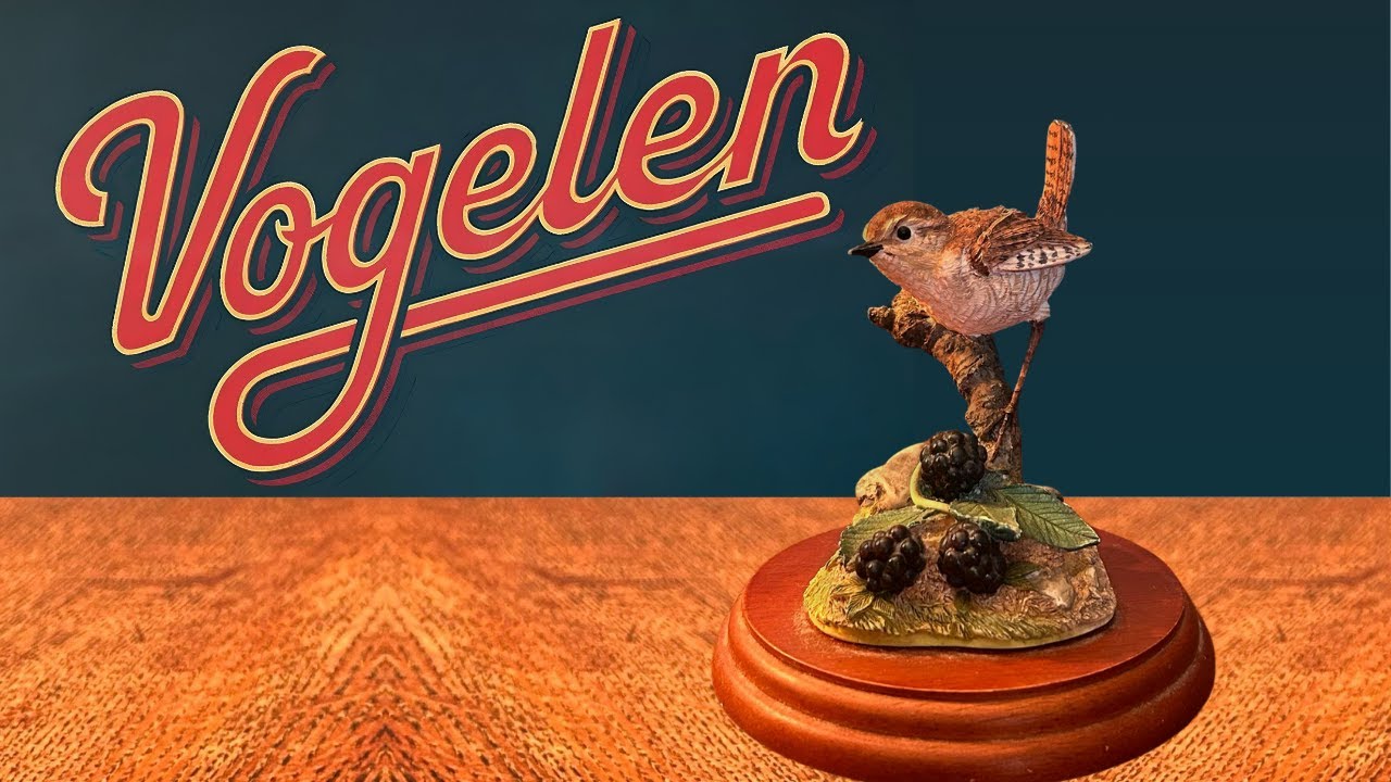 Slow Karma - Vogelen