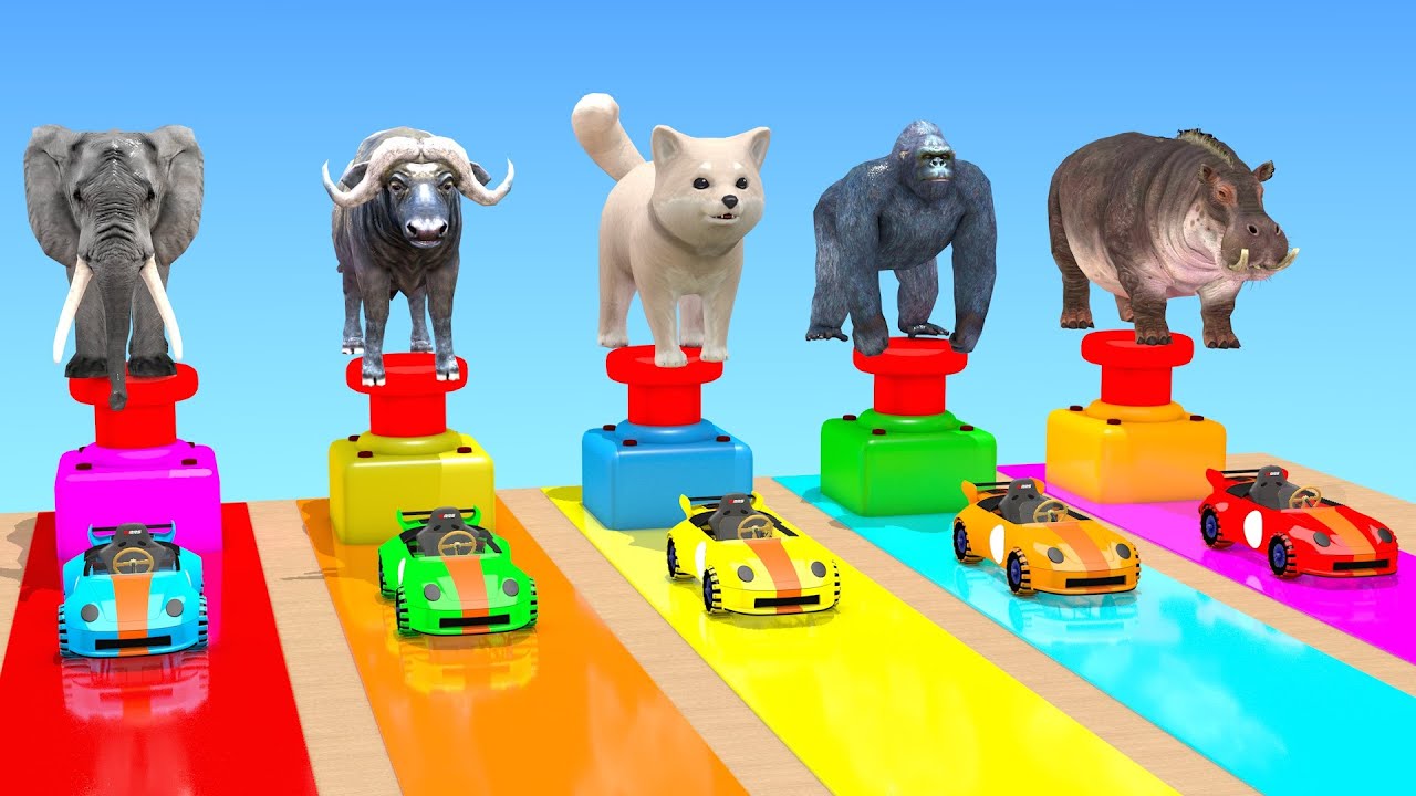 Best Long Slide Game With Cow Elephant Gorilla Hippopotamus Tiger 3d Animal Game Funny 3d Animals