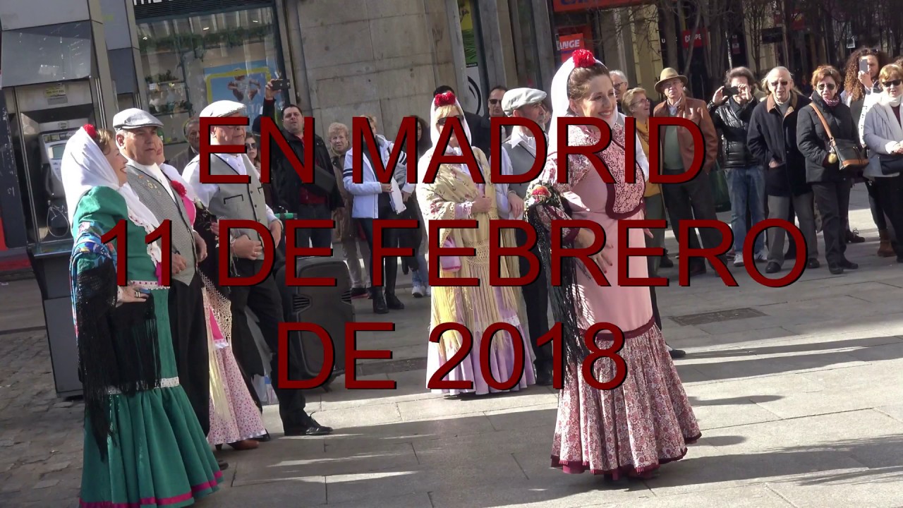 CHOTIS EN MADRID 4K