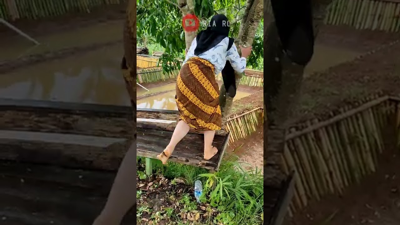 gadis turki jampang turunan kidul ||naik pohon jengkol