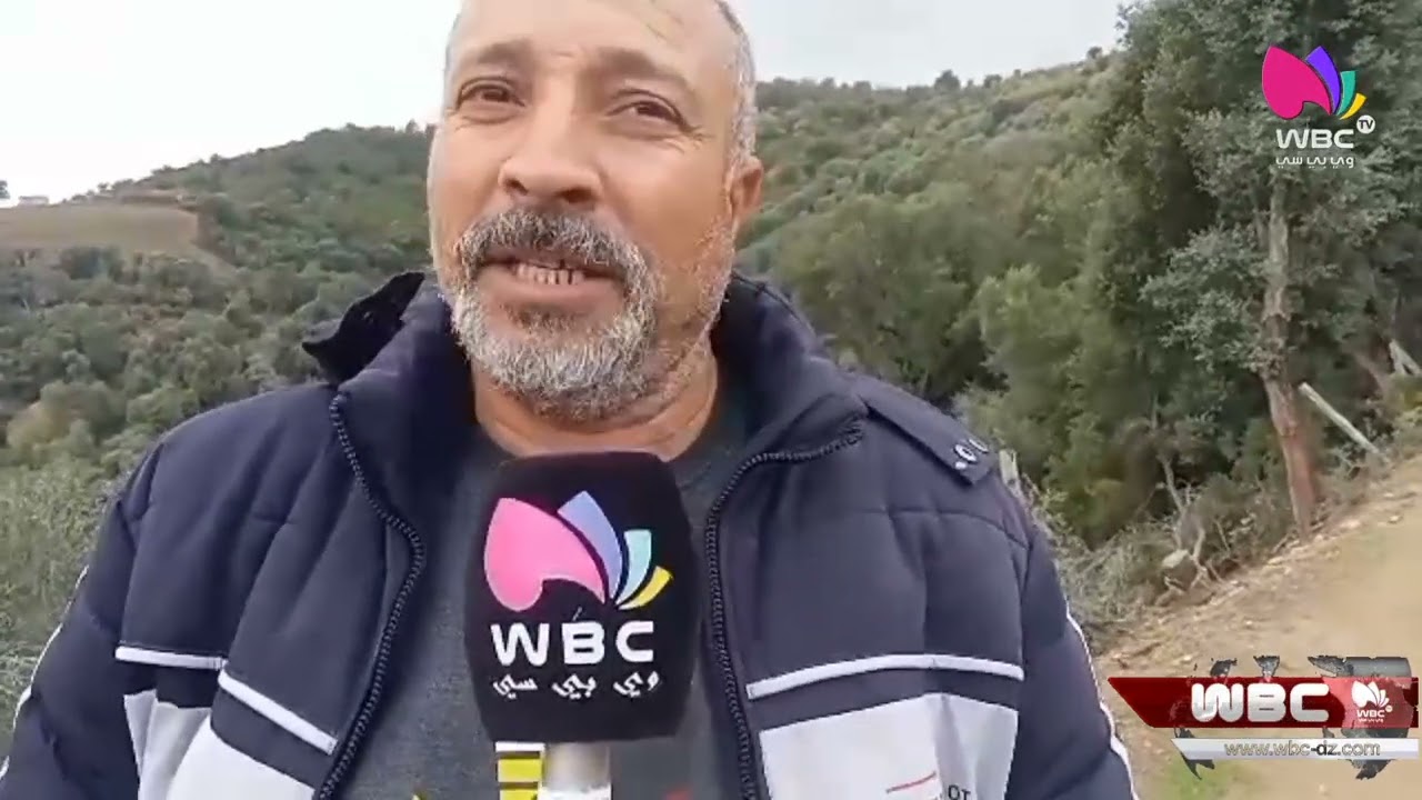 سكيكدة ... قرية دوزن ببلدية بني زيد تستعد لجني محصول الزيتون.