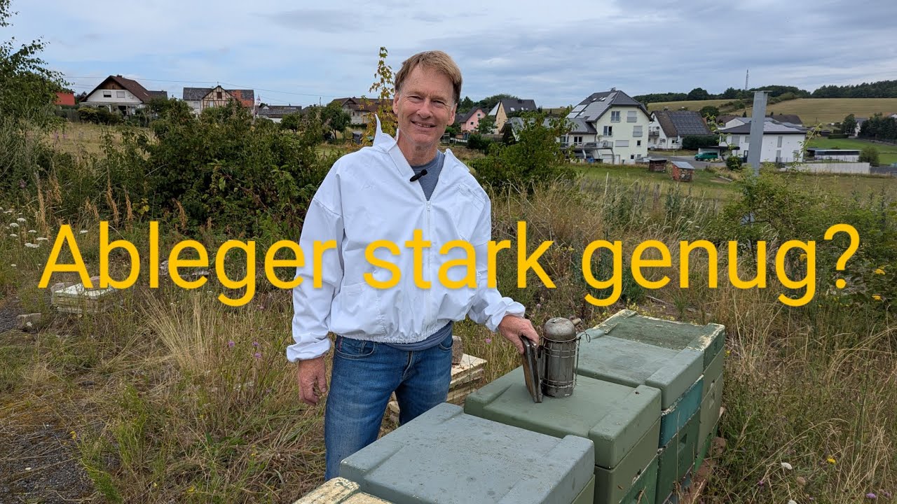 Kontrolle der Ableger im Juli