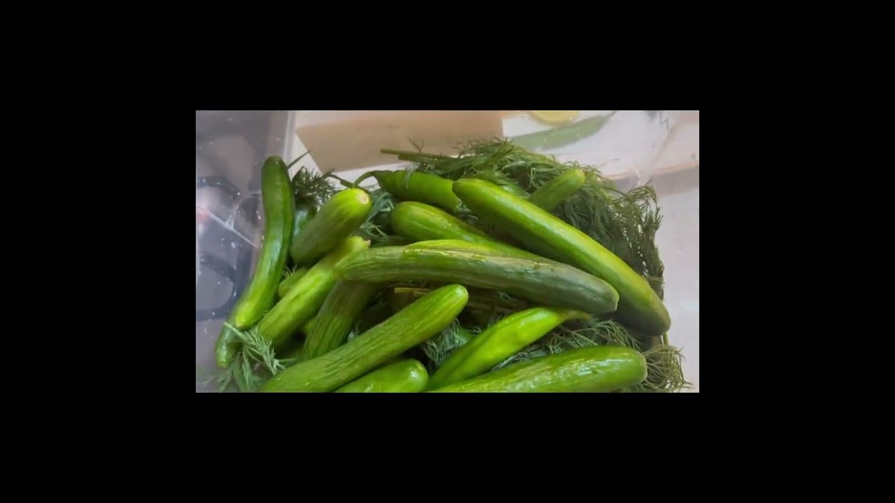 دروستکردنی خۆشترین خەیار شۆر