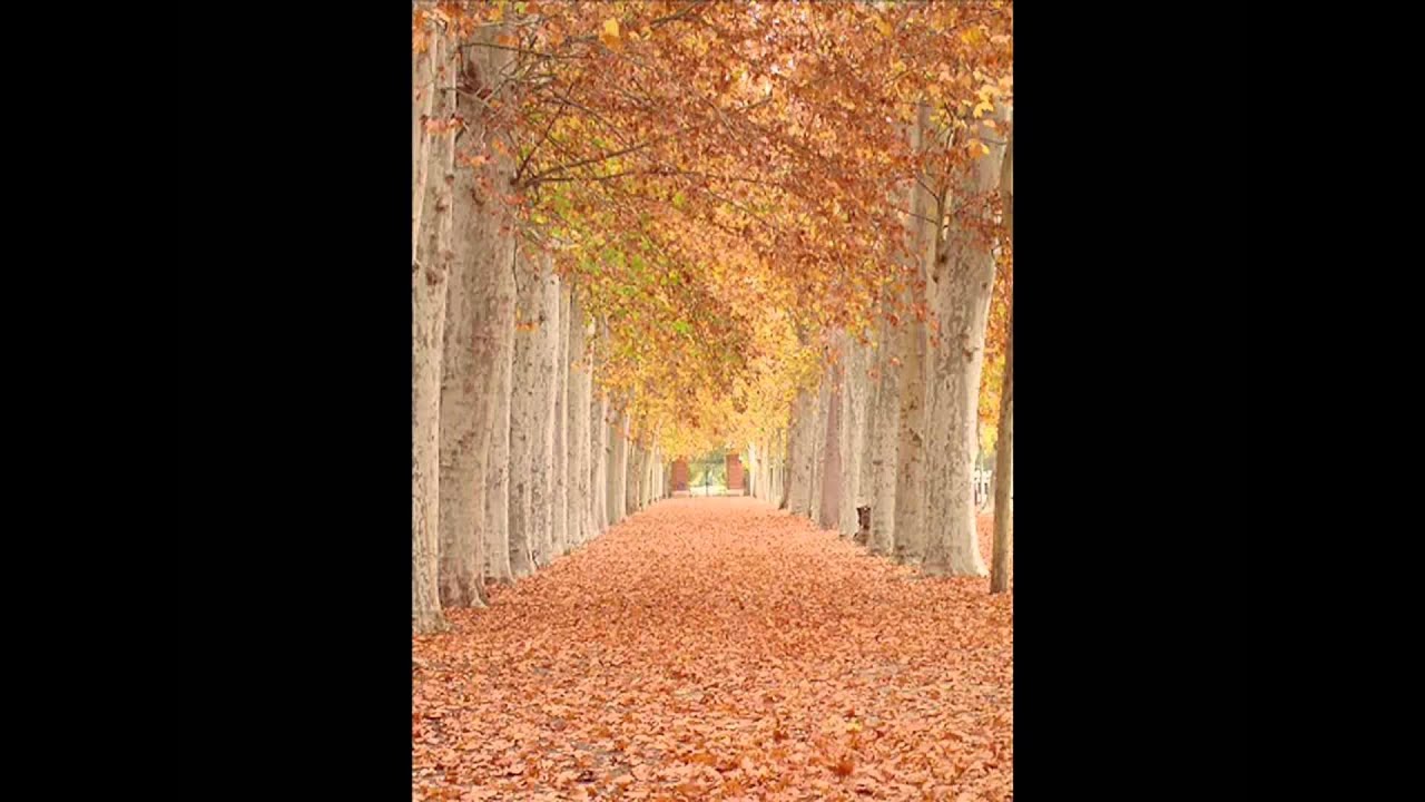 Conciento en Aranjuez Piano  Viol&iacute;n