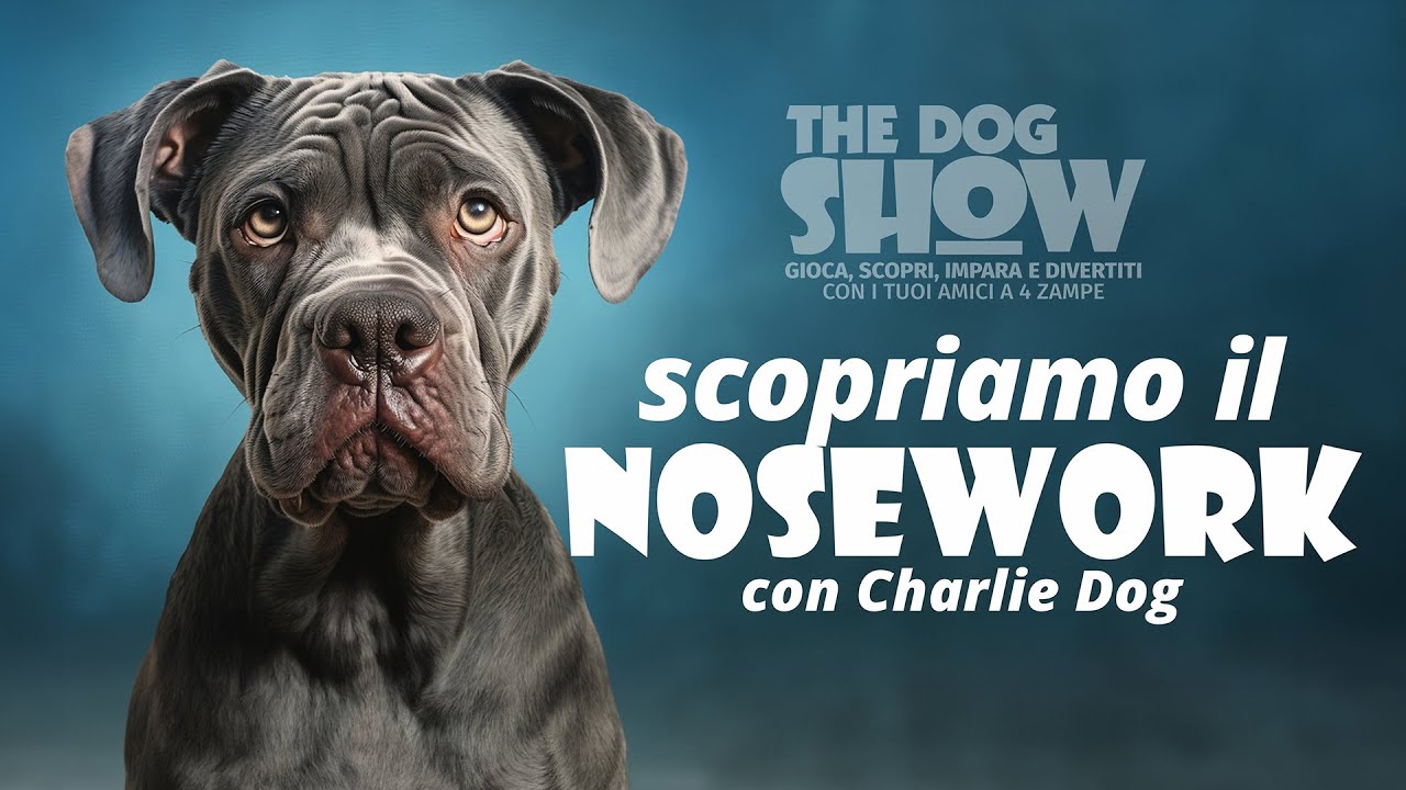 Scopriamo il NOSEWORK!