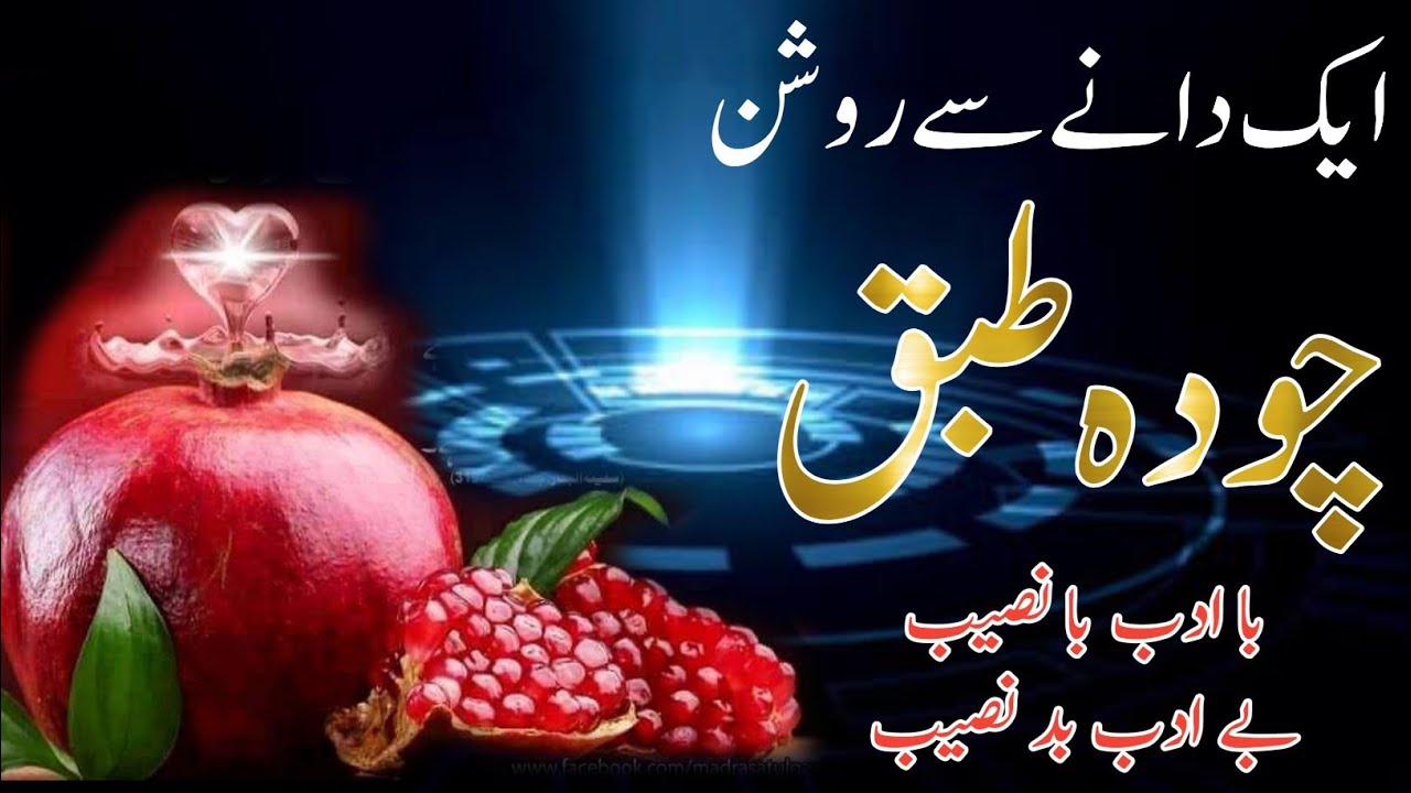 Ek dane se 14 tabaq Roshan ||sab ko apne mikdar ka mil kar hi rehta hai || tuALIm tasawwuf تعلیم