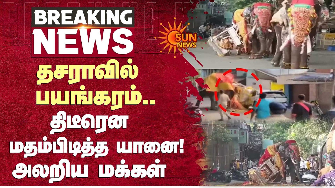Dasara Festival 2026 | Shocking Incident | Elephant | திடீரென மதம்பிடித்த யானை! அலறிய மக்கள்