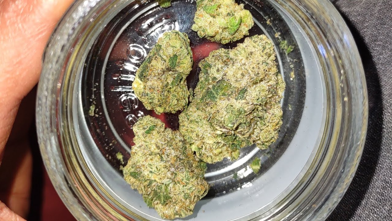 Rhythm-Choclava strain review (Illinois)