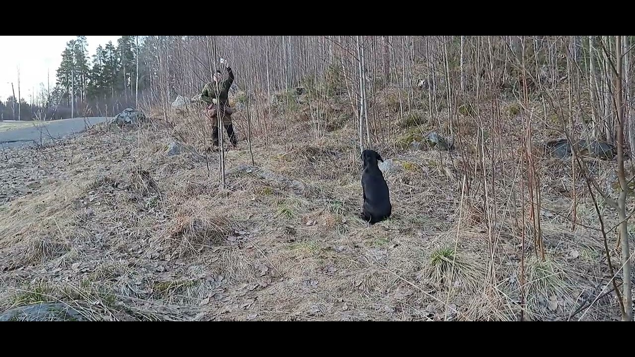 Nuorelle noutajalle nome lähihaun opetusta @Noutajatukku