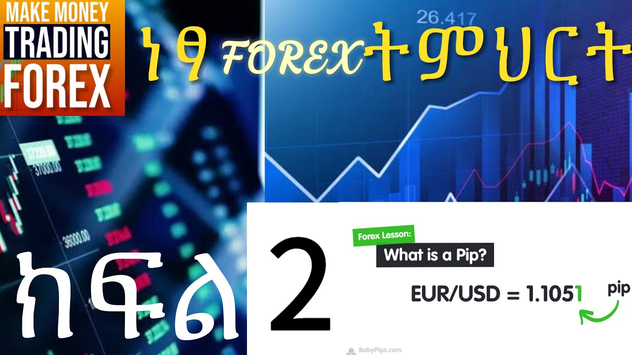 🔴What is a pip ? | Forex አብረን እንማር | ክፍል 2 | ETHIO UNBOX13 October 2024