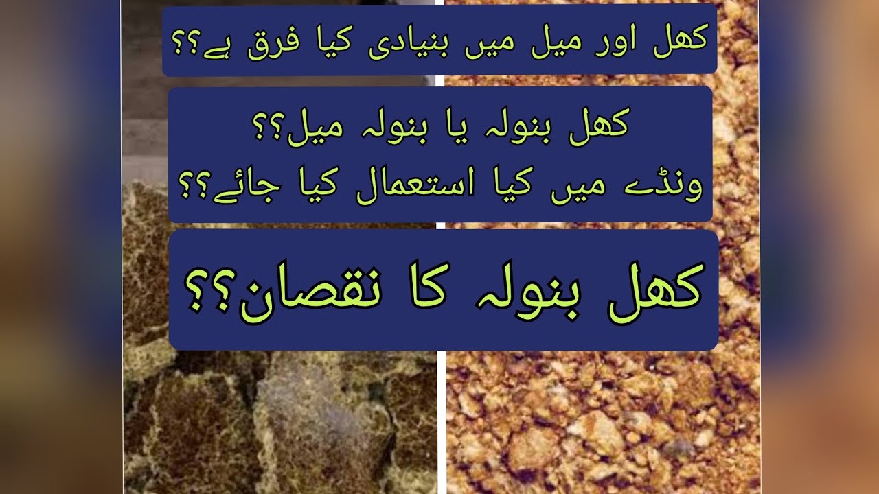Difference in Khal banola & banola meal ll CP of cottonseed cake ll کھل بنولہ کا استعمال نقصان دہ؟؟