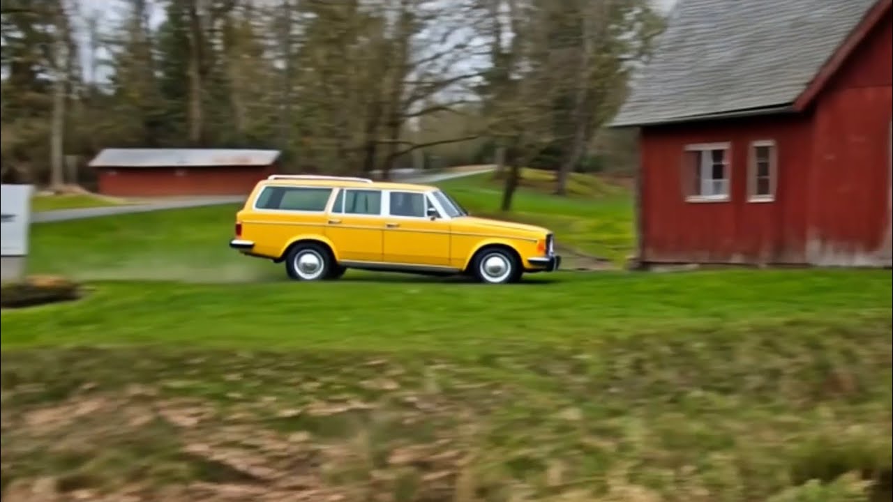 1977 Volvo 245 DL wagon from Beetlejuice