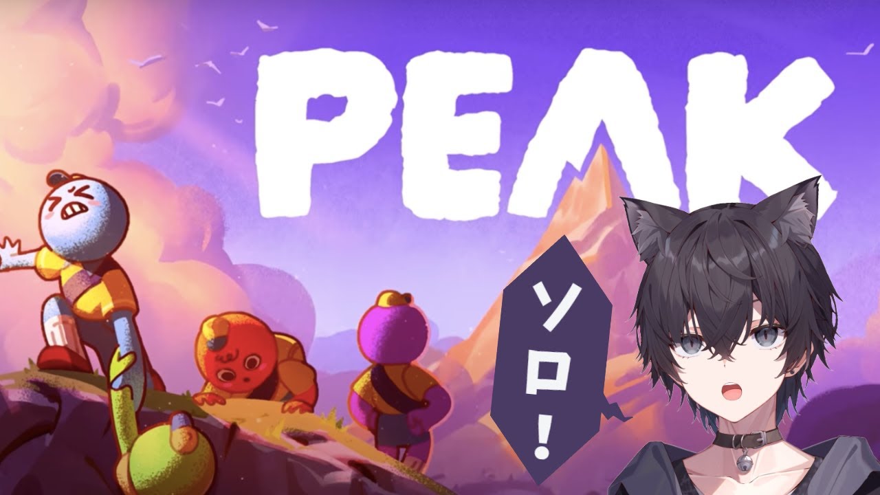 【PEAK】はじめての山登り！そしてソロ！頂の景色を見たい！