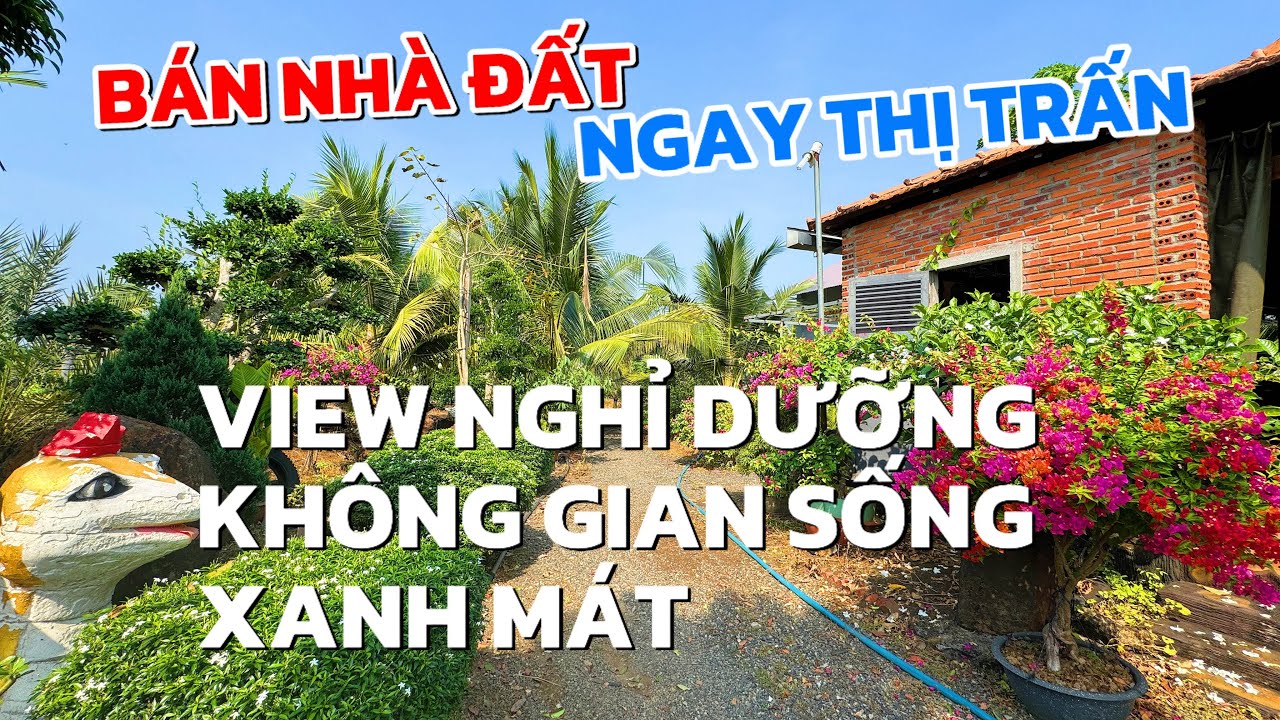 Chú Hai kẹt tiền nhượng lại 4300m2, nhà vườn cây ăn trái đầy đủ ngay trung tâm thị trấn ở BRVT 