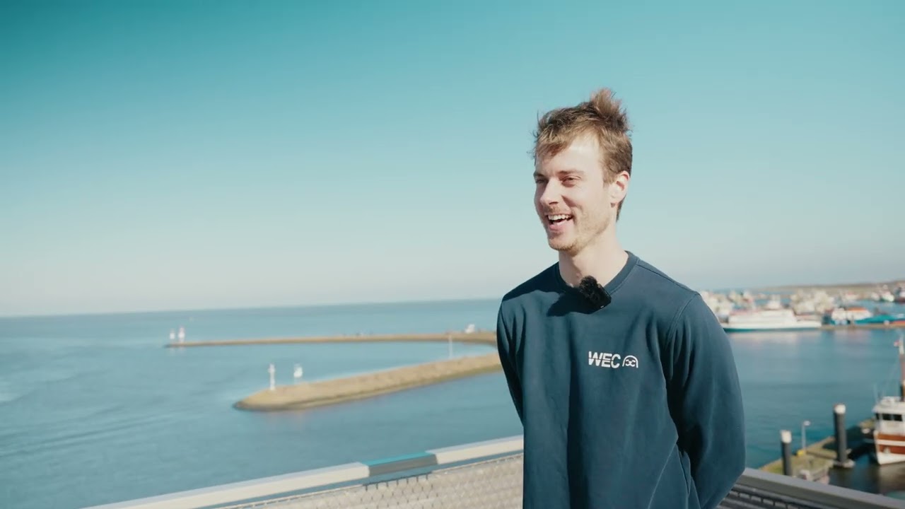 Vox | Wat de zeehondjes van Pieterburen ons vertellen over hoe taal is ontstaan