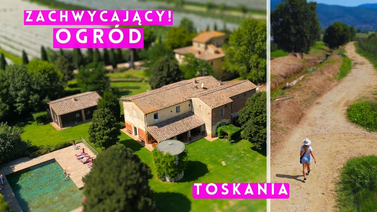 Ogród włoski zachwyca! Sosny pinie, róże, pole melonów! Ogrody inspiracje. Rośliny śródziemnomorskie