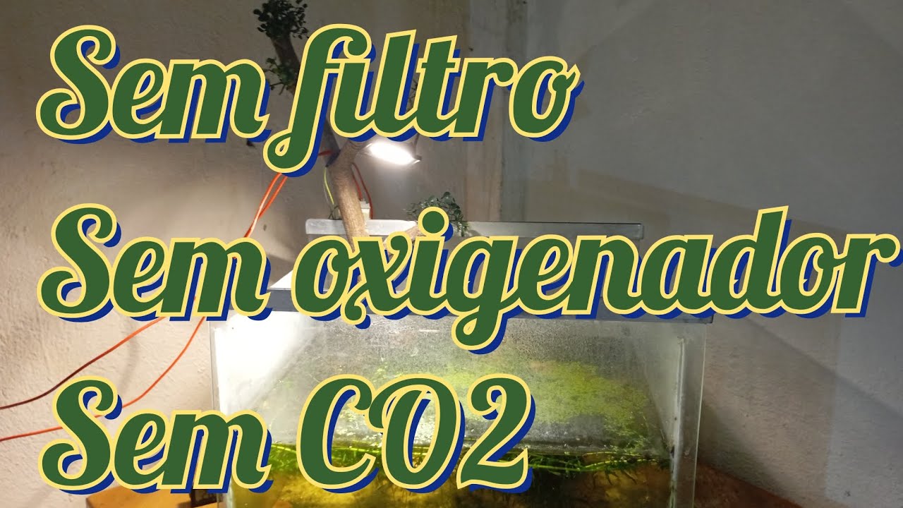 Natural Zero tecnologia 😁👍🏽