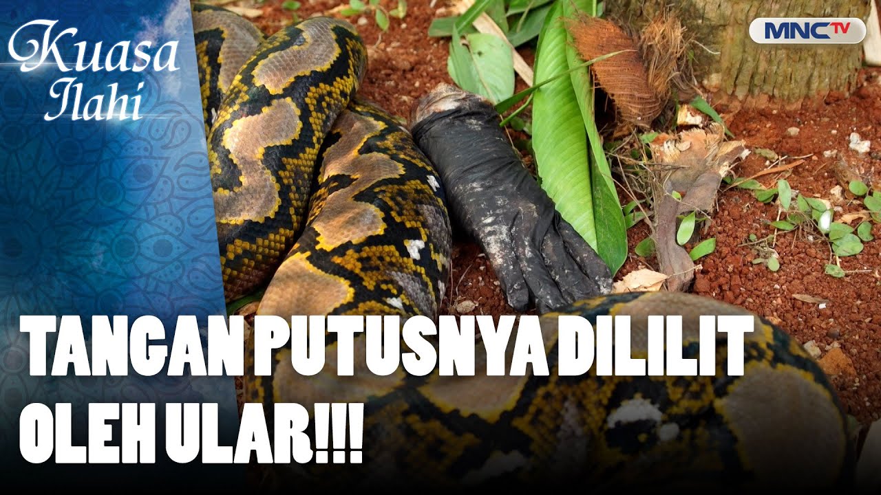 Tangan Putusnya Dililit Ular!! | KUASA ILAHI | GELANG CURIAN SUSAH LEPAS | PART (3/5)