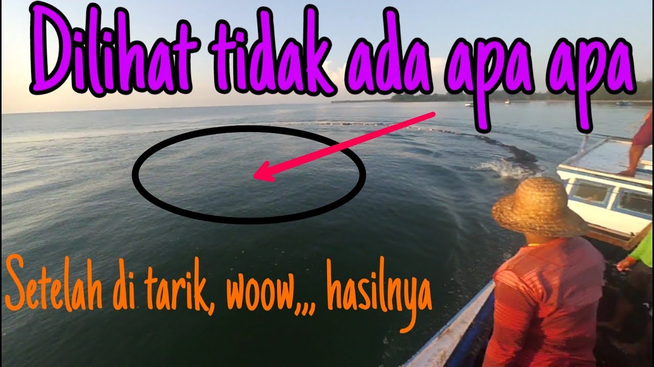 Menjaring undang rebon