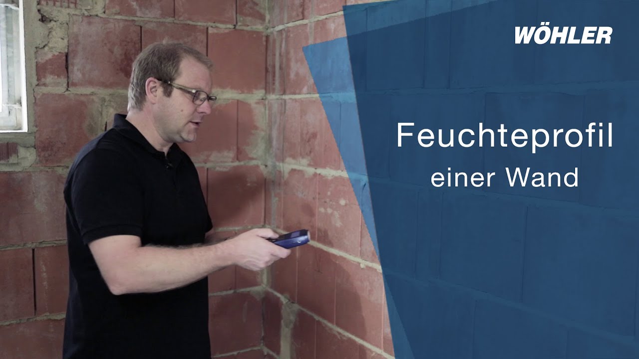Feuchteprofil einer Wand