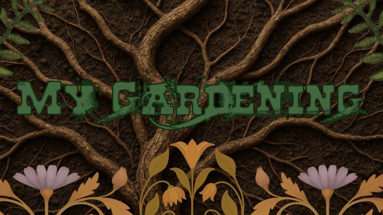 My gardening 