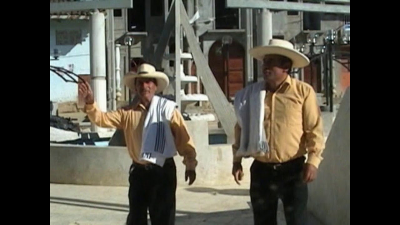 LOS CHIGUIRIPANOS - MAÑANA MAÑANA