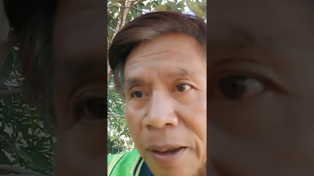 บ้านสวนป่าลุงจิวกับมุมพักผ่อนแสนโรแมนติก