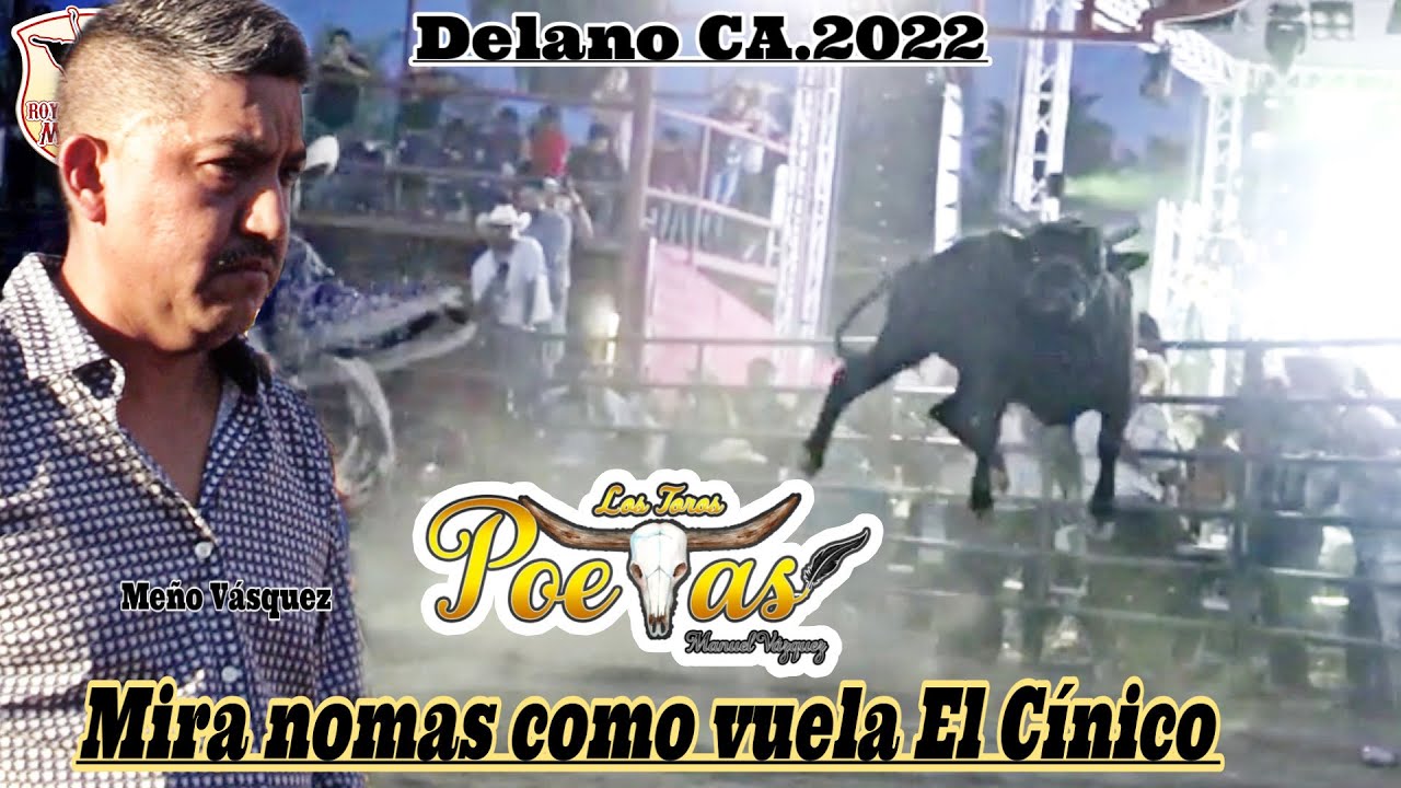 NOMAS MIRAVA VOLAR SU TORO MEÑO VASQUEZ DE LOS TOROS POETAS DE MEÑO EN DELANO CA. CA.2022