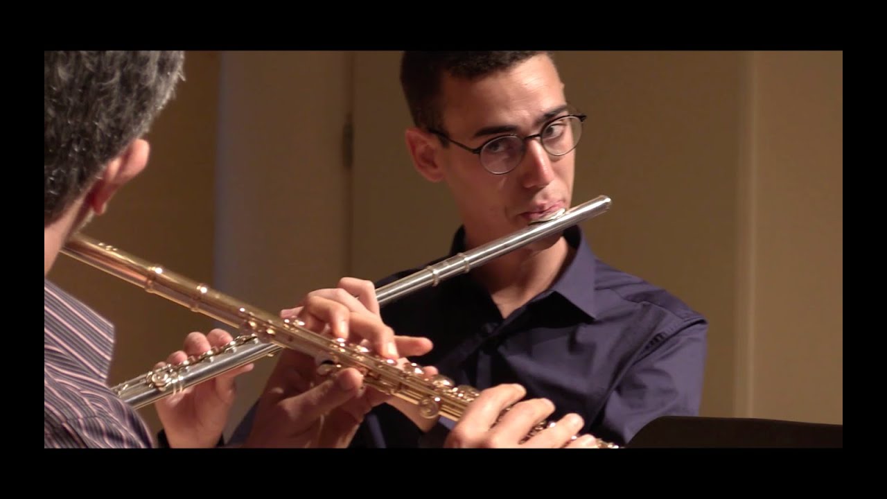 F. Doppler - Andante et Rondo, Op.25 for 2 Flutes and Piano (HD)