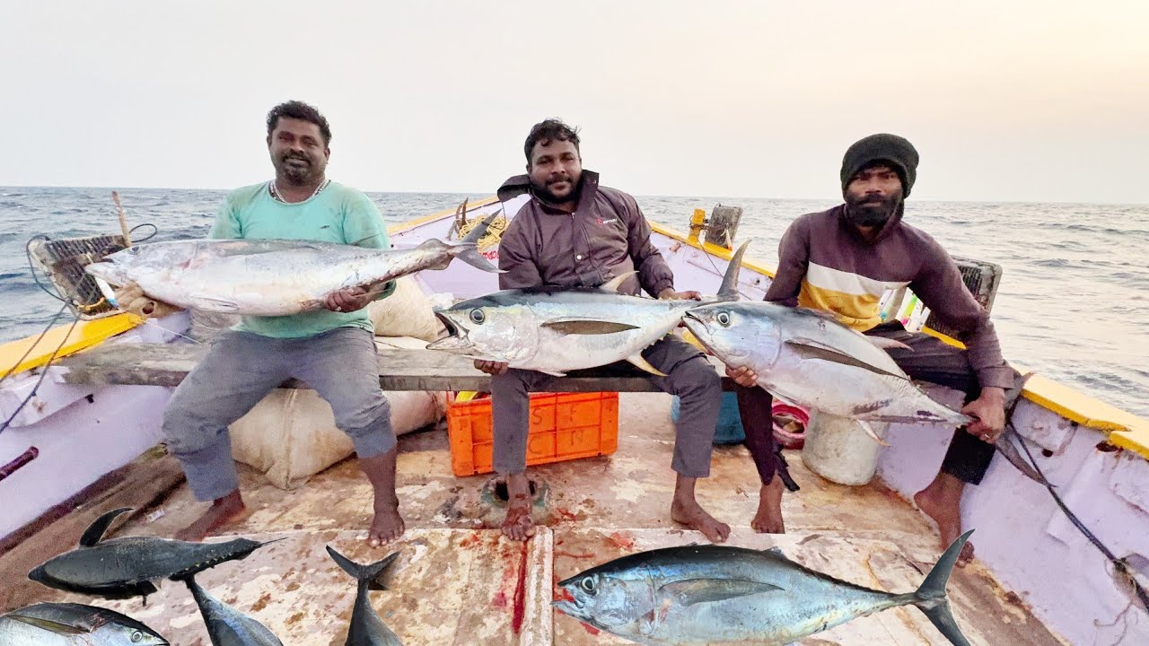 2026 🎉 Our First Day in Fishing 💢 Great Day❗Monster Fish Catches in Deep Sea Fishing 