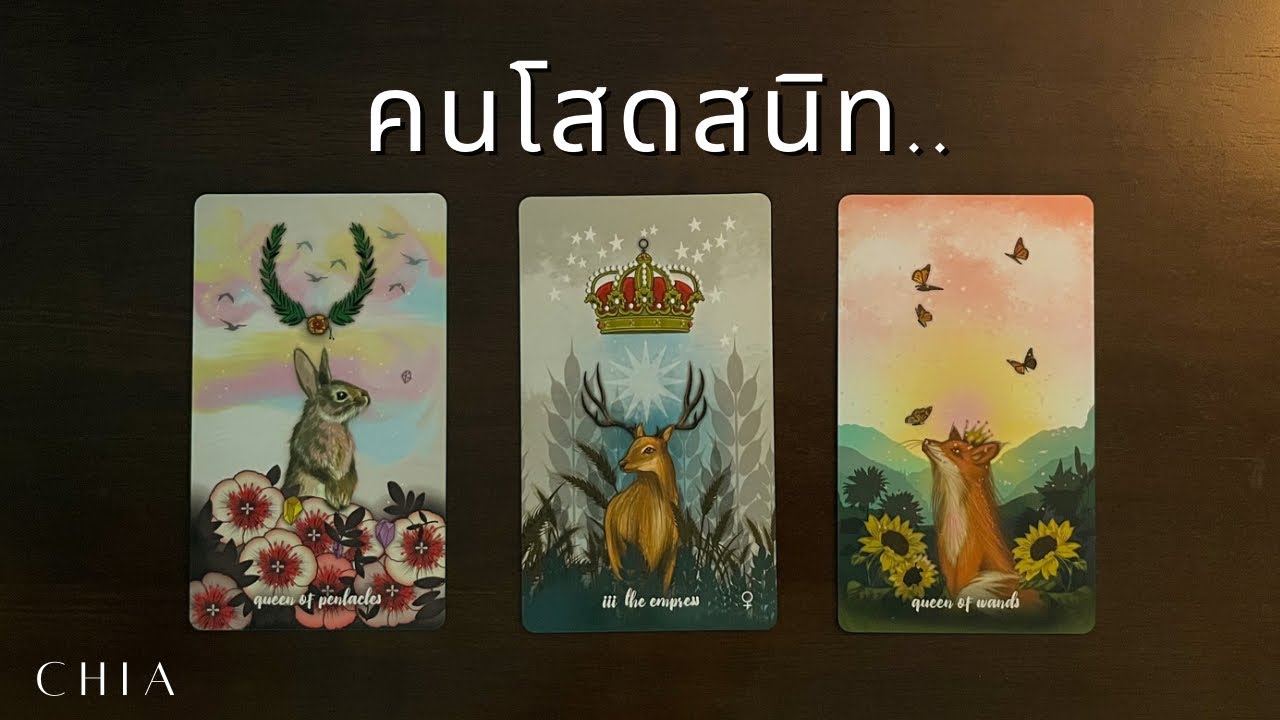Pick a card คนโสดสนิท..