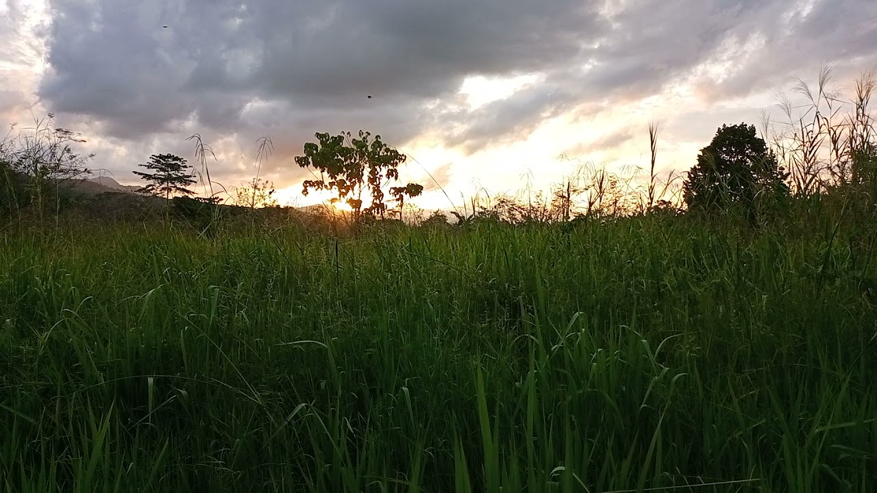 Sunset view in my rural village