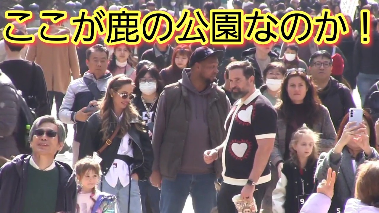 ここが鹿の公園なのか！初めて東大寺参道をみた外国人観光客の目が点になる