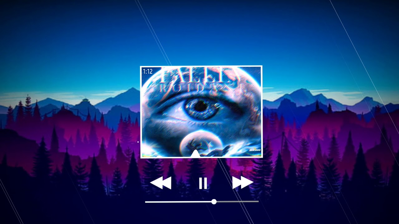 Roidani - FALLIN (MUSICIRANO)