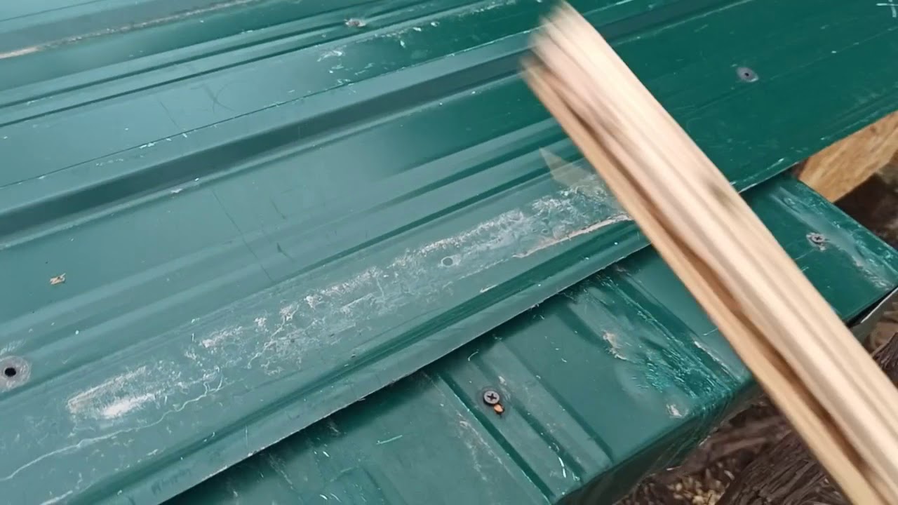 Tipul meu a cuştilor de iepuri.