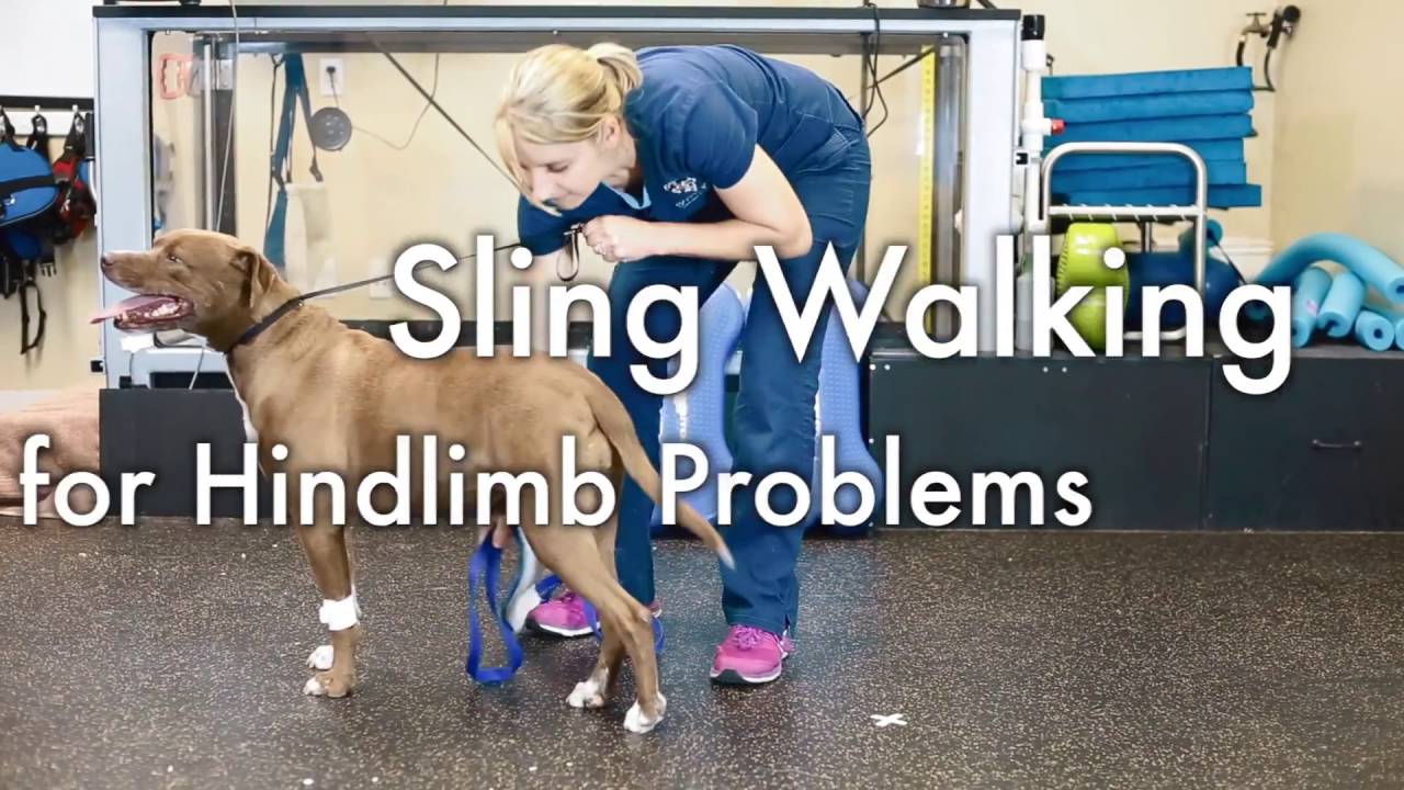 Sling Walking
